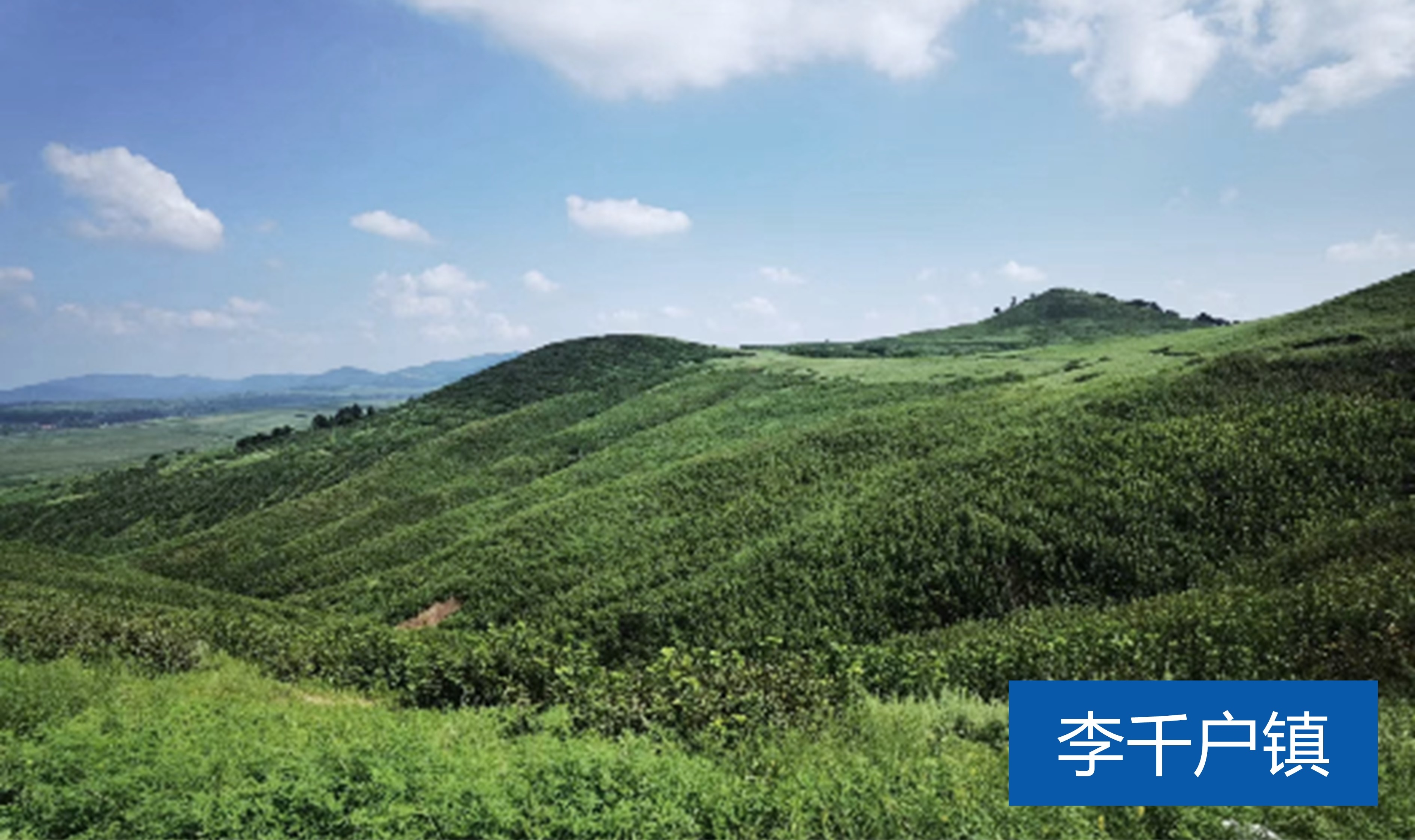 李千戶鎮(zhèn)