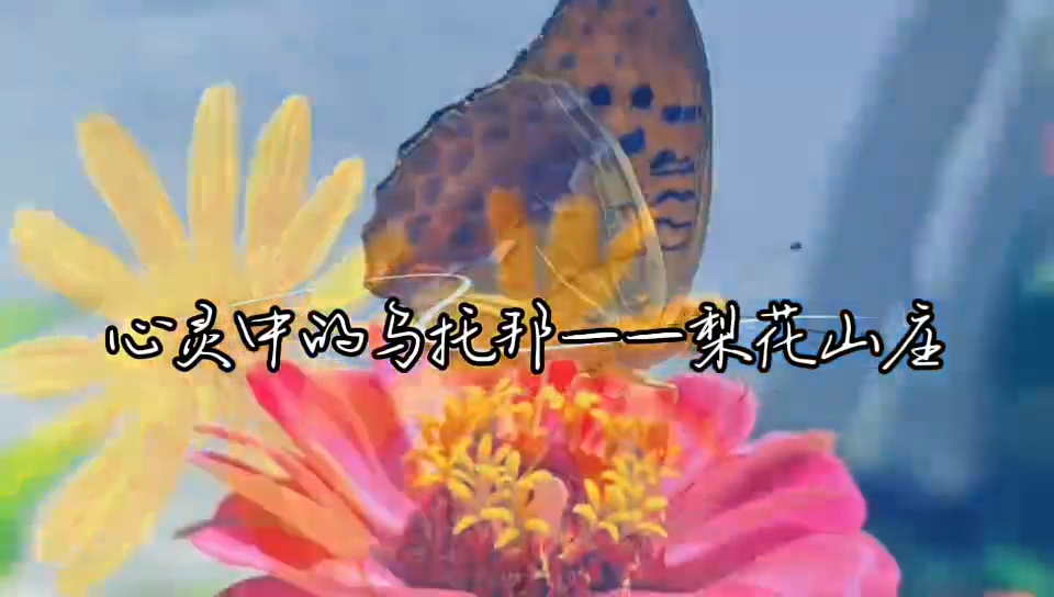 心靈中的烏托邦--梨花山莊